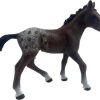 Animal Figurines Country Toys Australia | Horses - Appaloosa Foal